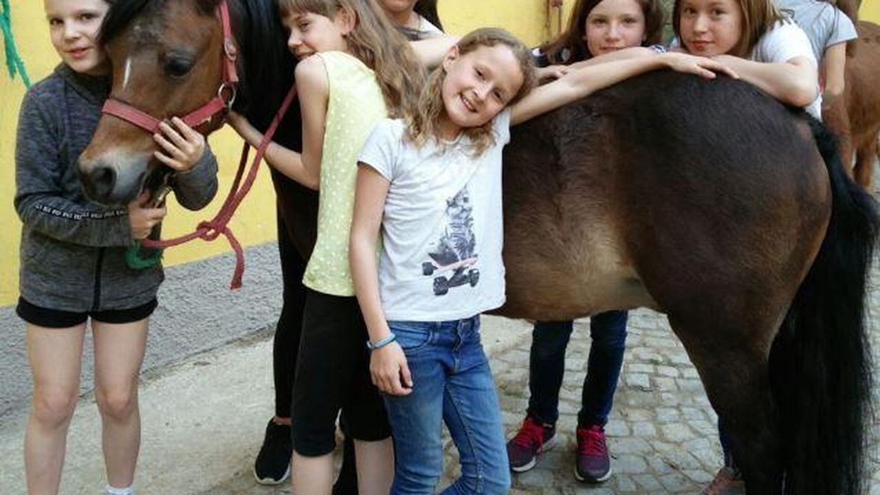 Pony-Kuscheln Pony-Kuscheln